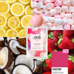 Zahia Marshmallow Perfume Notes on ZYNAH