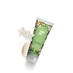 Shea and Jasmine Natural Body Lotion - ZYNAH