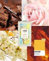 Powder Musk Zahia Perfume + Shaan Body Milk + Telofill Body Scrub