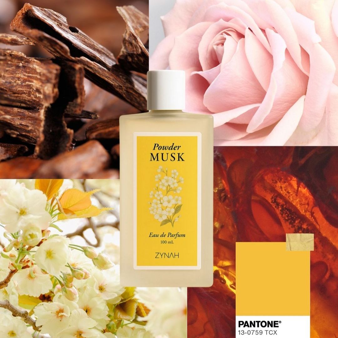 Zahia Powder Musk perfume notes on ZYNAH