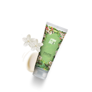 Shea and Jasmine Natural Body Lotion - ZYNAH