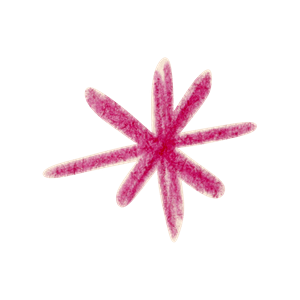 <strong>One-Stop Beauty</strong>